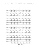 Parallel Window Algorithm diagram and image