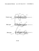 METHOD AND SYSTEMS FOR PROCESSING POLYMERIC SEQUENCE DATA AND RELATED     INFORMATION diagram and image