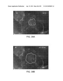 NANOFIBER COVERED MICRO COMPONENTS AND METHODS FOR MICRO COMPONENT COOLING diagram and image