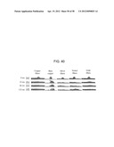 NANOFIBER COVERED MICRO COMPONENTS AND METHODS FOR MICRO COMPONENT COOLING diagram and image