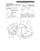 Modular platen assembly for inductor pump diagram and image