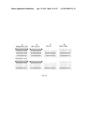 LIGHT FIELD IMAGE SENSOR, METHOD AND APPLICATIONS diagram and image