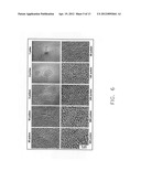 Applications of laser-processed substrate for molecular diagnostics diagram and image