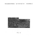 Applications of laser-processed substrate for molecular diagnostics diagram and image