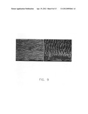 Applications of laser-processed substrate for molecular diagnostics diagram and image