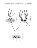 QUANTUM DOT ILLUMINATION DEVICES AND METHODS OF USE diagram and image