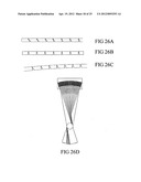 DELIVERY SYSTEM FOR RADIATION THERAPY diagram and image