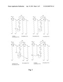 LIPOSOMAL NANOPARTICLES AND OTHER FORMULATIONS OF FENRETINIDE FOR USE IN     THERAPY AND DRUG DELIVERY diagram and image