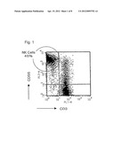 IMMUNOTHERAPY FOR PANCREATIC CANCER diagram and image