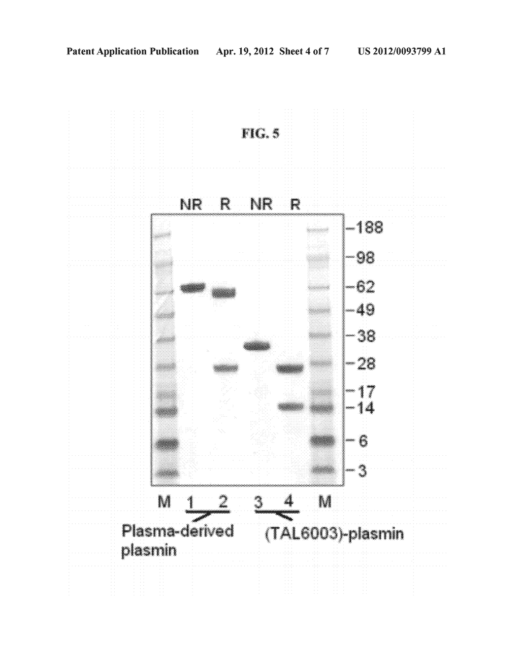 RECOMBINANTLY MODIFIED PLASMIN - diagram, schematic, and image 05