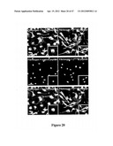 Method of Treating Degenerative Disorders of the Nervous System diagram and image