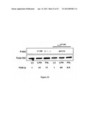 Method of Treating Degenerative Disorders of the Nervous System diagram and image