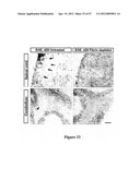 Method of Treating Degenerative Disorders of the Nervous System diagram and image