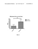 Her2 DNA Vaccine as Adjunct Treatment for Cancers in Companion Animals diagram and image