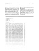 Her2 DNA Vaccine as Adjunct Treatment for Cancers in Companion Animals diagram and image