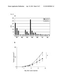 TEM8 PEPTIDES AND VACCINES COMPRISING THE SAME diagram and image