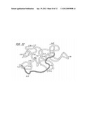 Tat-Based Tolerogen Compositions and Methods for Making and Using Same diagram and image