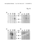 Method For Polypeptide Transfer Into Cells diagram and image