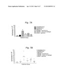 Inhibition of SYK kinase expression diagram and image