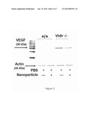 Inhibition of Neovascularization by Cerium Oxide Nanoparticles diagram and image