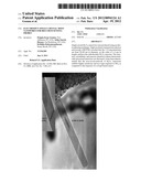 ELECTROSPUN SINGLE CRYSTAL MoO3 NANOWIRES FOR BIO-CHEM SENSING PROBES diagram and image