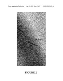 ELECTROSPUN SINGLE CRYSTAL MoO3 NANOWIRES FOR BIO-CHEM SENSING PROBES diagram and image