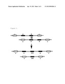 GENE DOSAGE ANALYSIS diagram and image