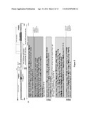 ASSAY FOR DETERMINING EPIGENETIC PROFILES OF MARKERS OF FRAGILE X ALLELES diagram and image