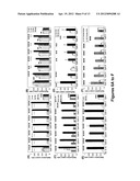 ASSAY FOR DETERMINING EPIGENETIC PROFILES OF MARKERS OF FRAGILE X ALLELES diagram and image