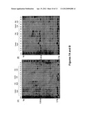 ASSAY FOR DETERMINING EPIGENETIC PROFILES OF MARKERS OF FRAGILE X ALLELES diagram and image