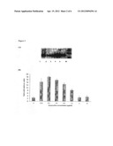 BMS1 PROTEIN EXPRESSION SYSTEM diagram and image