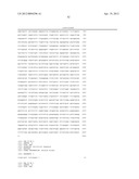 ENZYME PREPARATION CONTAINING THERMOSTABLE DNA POLYMERASE, METHOD FOR     PRODUCING SAME, AND METHOD FOR DETECTING SUBJECT ORGANISM TO BE DETECTED diagram and image