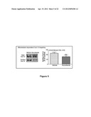 Bin1 as a Prognostic Marker in Cardiovascular Disease diagram and image