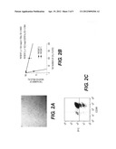 METHOD OF PREPARING HUMAN LUNG TISSUE STEM CELLS AND METHOD OF INDUCING     DIFFERENTIATION INTO HUMAN ALVEOLAR EPITHELIAL CELLS diagram and image