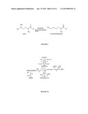 COMPOSITIONS AND METHODS FOR THE BIOSYNTHESIS OF 1,4-BUTANEDIOL AND ITS     PRECURSORS diagram and image