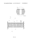 METHOD AND AGENT FOR THE BIOREMEDIATION OF PETROLEUM IN AN AQUATIC     ENVIRONMENT diagram and image