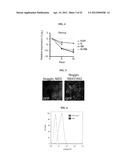 METHODS OF NEURAL CONVERSION OF HUMAN EMBRYONIC STEM CELLS diagram and image