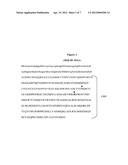 METHODS AND COMPOSITION FOR MEASURING THE AMOUNT OF VITAMIN D DERIVATIVES diagram and image