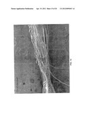 HYDROENGORGED SPUNMELT NONWOVENS diagram and image