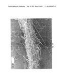 HYDROENGORGED SPUNMELT NONWOVENS diagram and image