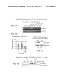 DETECTING AND TREATING BREAST CANCER RESISTANCE TO EGFR INHIBITORS diagram and image