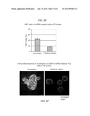 DETECTING AND TREATING BREAST CANCER RESISTANCE TO EGFR INHIBITORS diagram and image