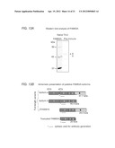 DETECTING AND TREATING BREAST CANCER RESISTANCE TO EGFR INHIBITORS diagram and image