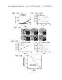 DETECTING AND TREATING BREAST CANCER RESISTANCE TO EGFR INHIBITORS diagram and image