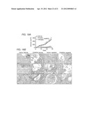 DETECTING AND TREATING BREAST CANCER RESISTANCE TO EGFR INHIBITORS diagram and image