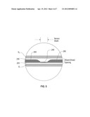 MAGNETIC NANOPARTICLE DETECTION ACROSS A MEMBRANE diagram and image