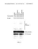 INHIBITORS OF VIRAL INTEGRASE AND METHODS OF USE diagram and image