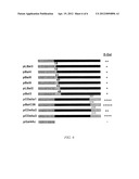 INHIBITORS OF VIRAL INTEGRASE AND METHODS OF USE diagram and image