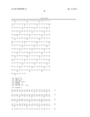 TRUNCATED ACTIVIN TYPE II RECEPTOR AND METHODS OF USE diagram and image