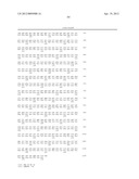 TRUNCATED ACTIVIN TYPE II RECEPTOR AND METHODS OF USE diagram and image